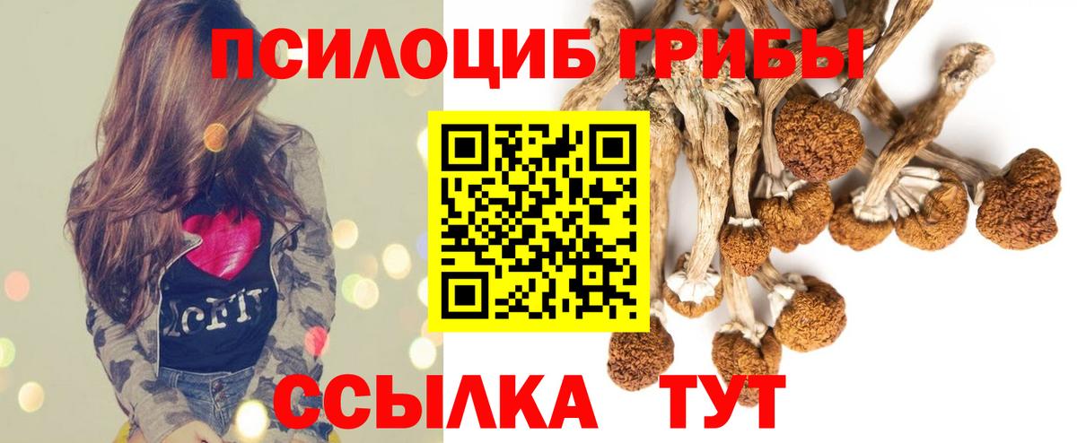Воскресенск  Галлюциногенные грибы Psilocybine cubensis  Псилоцибиновые грибы GOLDEN TEACHER  дарнет шоп  Вход с VPN 